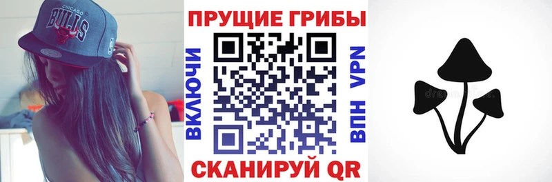 Псилоцибиновые грибы ЛСД  Котельники 
